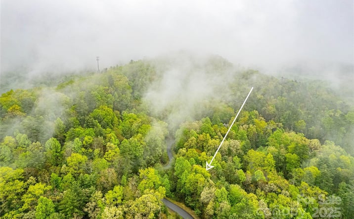 Pictures of Land property located at TBD High Hemlock Trail 46, Brevard, NC 28712 for sales - image #1