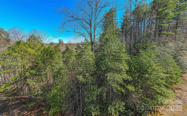 Pictures of Land property located at TBD Camptown Road M139, Brevard, NC 28712 for sales - image #1