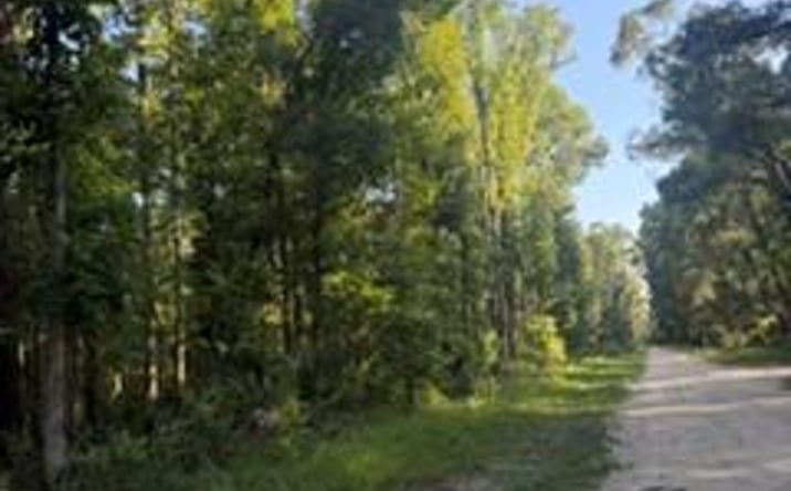 Pictures of Land property located at NE 667th St, Old Town, FL 32680 for sales - image #1