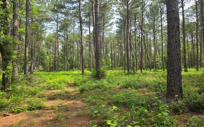 Pictures of Land property located at Colby Circle, Dublin, GA 31021 for sales - image #1