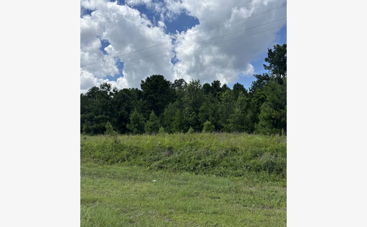 Pictures of Land property located at 4315 Thomas Sumter Highway, Dalzell, SC 29040 for sales - image #1