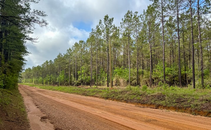 Pictures of Land property located at 0 Benny Griffin Road, Dallardsville, TX 77351 for sales - image #1