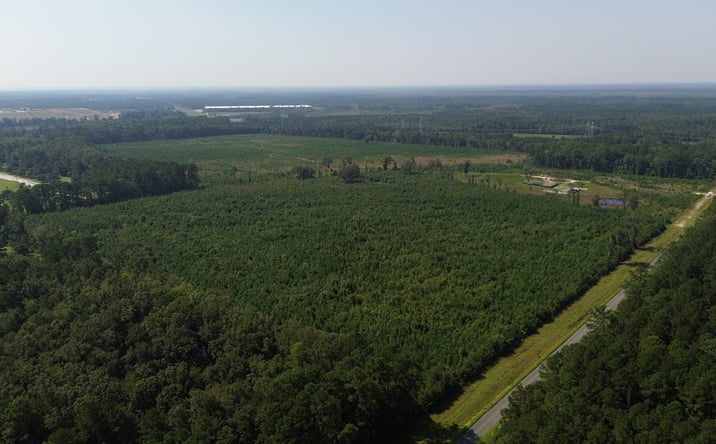 Pictures of Land property located at Bush Road Tract in Path of Growth, Savannah, GA 31419 for sales - image #1