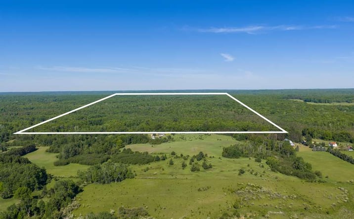Pictures of Land property located at 2091 N. Athey Rd., Hamilton, MI 48625 for sales - image #1