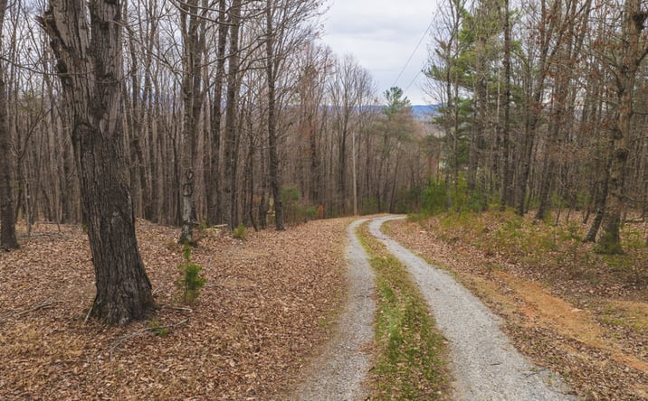 Pictures of Land property located at Tract 4 All Healing Springs Road, Taylorsville, NC 28681 for sales - image #1