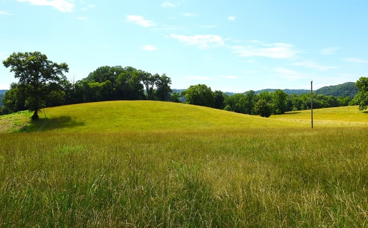 Pictures of Land property located at 6155 Irish Bottom Road Tract #5, Burkesville, KY 42717 for sales - image #1