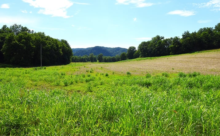 Pictures of Land property located at 6105 Irish Bottom Rd Tract #6, Burkesville, KY 42717-9326 for sales - image #1