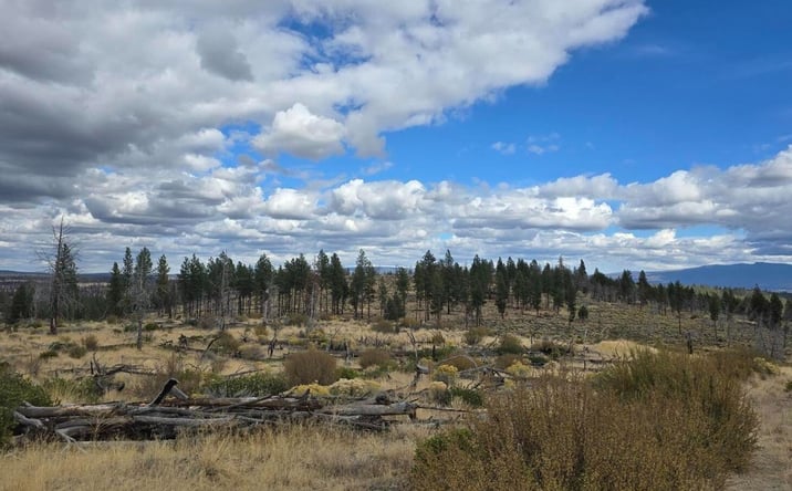 Pictures of Land property located at 0 Partin Drive, Beatty, OR 97621 for sales - image #1