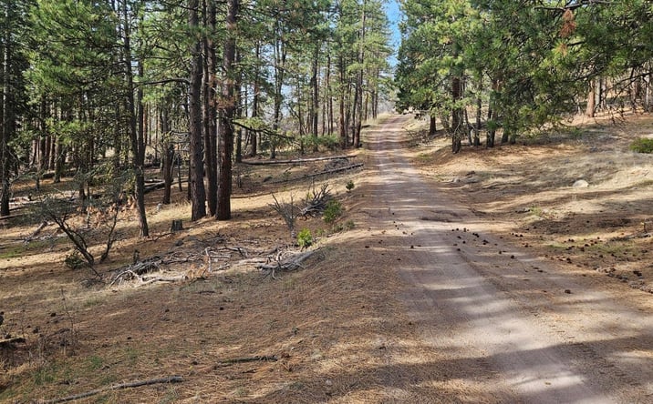 Pictures of Land property located at Seal Ln, Bonanza, OR 97623 for sales - image #1