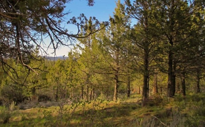 Pictures of Land property located at 0 Pearson Butte Trail, 16, Klamath Falls, OR 97603 for sales - image #1