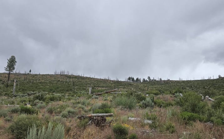 Pictures of Land property located at Ram Rd, Chiloquin, OR 97624 for sales - image #1