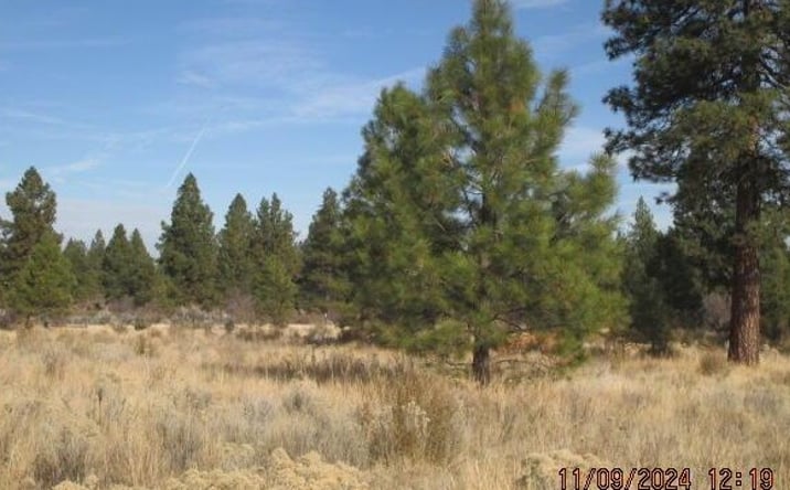 Pictures of Land property located at 0 Sundance Drive, 25, Chiloquin, OR 97624 for sales - image #1