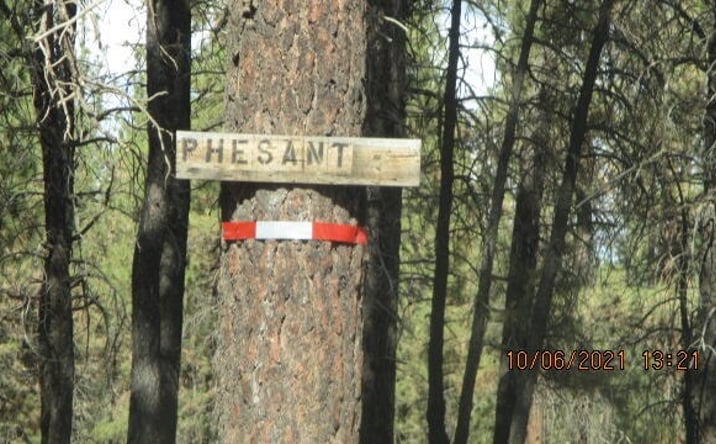 Pictures of Land property located at 0 Pheasant Lane, 16, Chiloquin, OR 97624 for sales - image #1