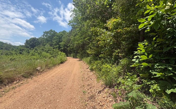Pictures of Land property located at County Road 404, Ellington, MO 63638 for sales - image #1
