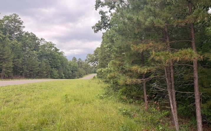 Pictures of Land property located at 0 Highway 21, Ellington, MO 63638 for sales - image #1
