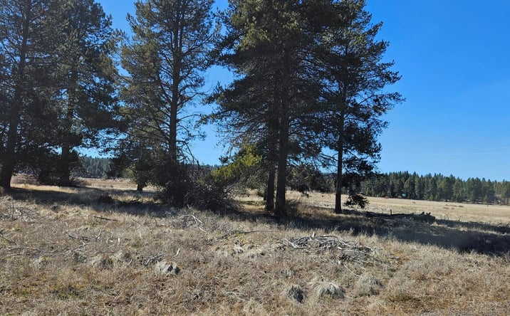 Pictures of Land property located at 0 Longhorn Loop #25, Chiloquin, OR 97624 for sales - image #1