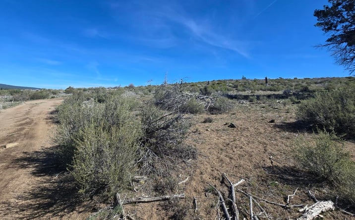Pictures of Land property located at 0 Fur Trapper Drive #200, Chiloquin, OR 97624 for sales - image #1