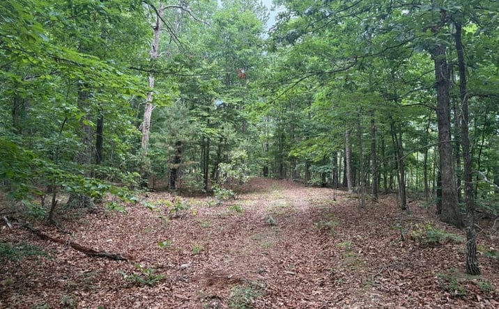 Pictures of Land property located at Highway 21, Ellington, MO 63638 for sales - image #1
