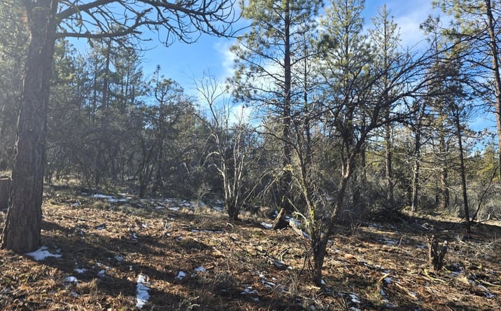 Pictures of Land property located at 0 Partin Way, 5, Beatty, OR 97621 for sales - image #1