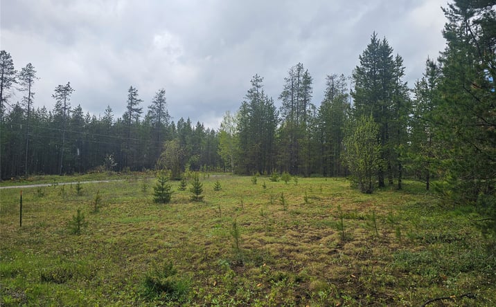 Pictures of Land property located at 106 Caribou Street, CORAM, MT 59913 for sales - image #1