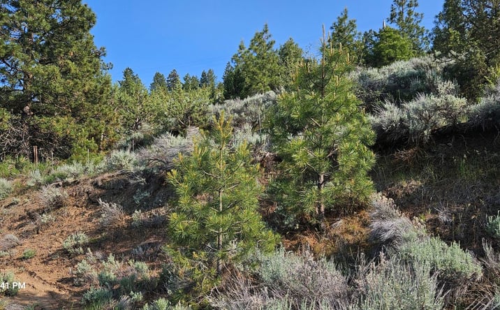 Pictures of Land property located at 0 Algoma Road, 502, Klamath Falls, OR 97601 for sales - image #1
