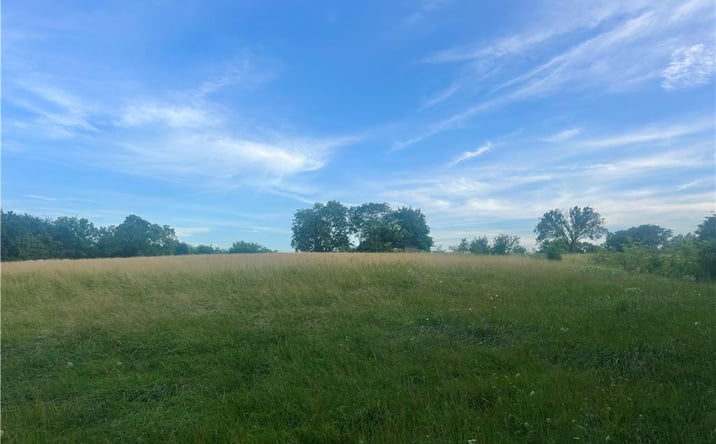 Pictures of Land property located at 45101 E N Highway, Creighton, MO 64739 for sales - image #1