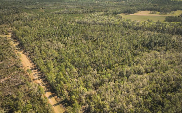 Pictures of Land property located at Aucilla Plantations Tract 101, Greenville, FL 32344 for sales - image #1