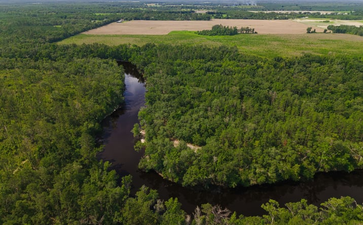 Pictures of Land property located at Withlacoochee River Farm, Pinetta, FL 32350-2269 for sales - image #1