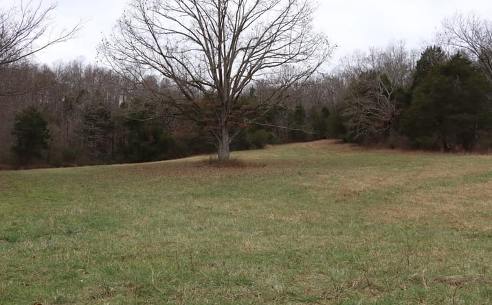 Pictures of Land property located at 0 Fisher Ridge Road tract 2, Horse Cave, KY 42749 for sales - image #1