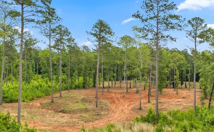 Pictures of Land property located at 41 Pine Meadow Trail, Forsyth, GA 31029 for sales - image #1