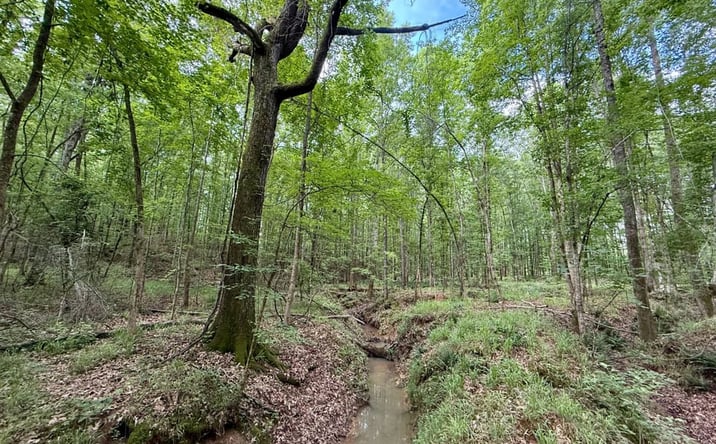 Pictures of Land property located at Lawdon Rd, Butler, GA 31006 for sales - image #1