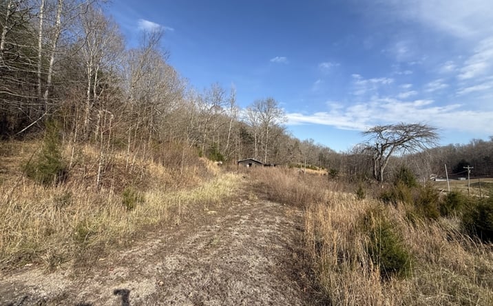 Pictures of Land property located at 4819 Morrison Creek Rd, Clifton, TN 38425 for sales - image #1