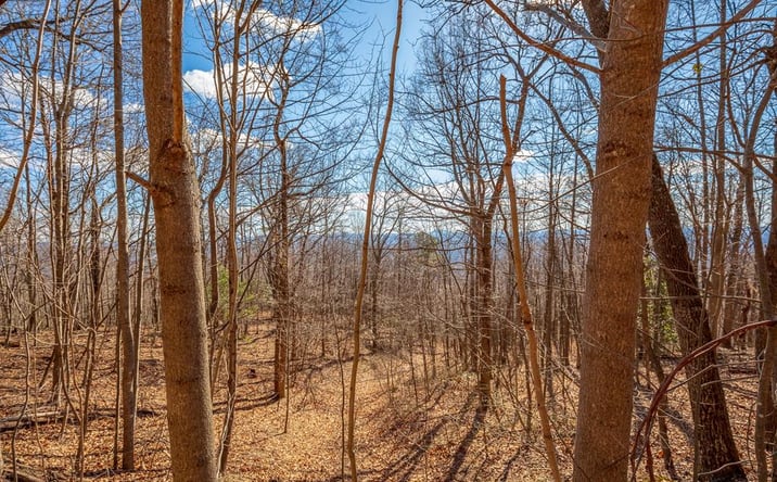 Pictures of Land, Multifamily property located at Lot 124 Spring Pond Trl, Fancy Gap, VA 24328 for sales - image #1