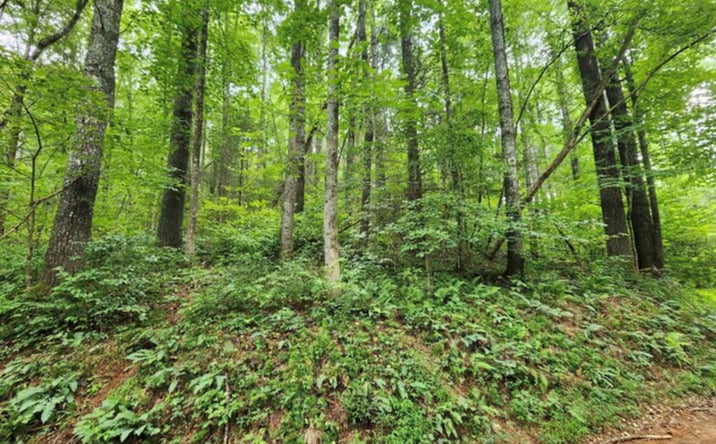 Pictures of Land property located at 2A Poplar Cove, Suches, GA 30572 for sales - image #1