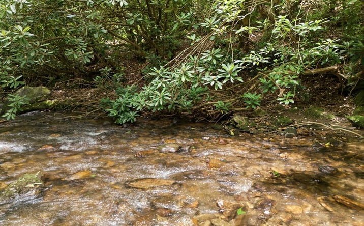 Pictures of Land property located at 84 Pounding Mill Creek, Hayesville, NC 28904 for sales - image #1