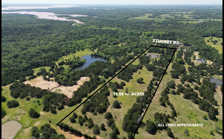 Pictures of Land property located at 11.66 +/- Stuckey Road, Gordonville, TX 76245 for sales - image #1