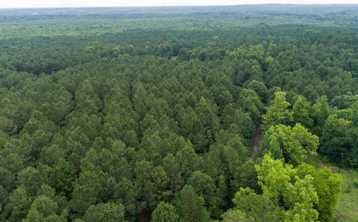 Pictures of Industrial, Land property located at TBD County Road 4510, Pisburg, TX 75686 for sales - image #1