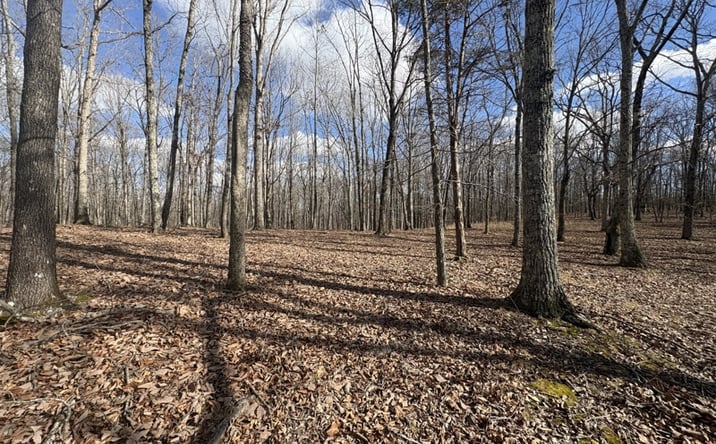 Pictures of Land property located at 0 Daniel Rd, Waverly, TN 37185 for sales - image #1