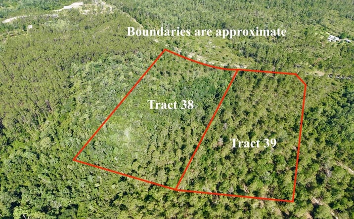 Pictures of Land property located at 3839 SW Oregon Trail, Greenville, FL 32331 for sales - image #1