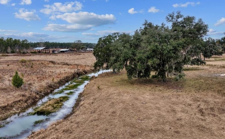 Pictures of Land property located at Vacant N Salt Rd, Monticello, FL 32344 for sales - image #1