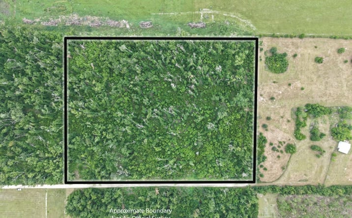 Pictures of Land property located at 123 NW Keystone RD, Mayo, FL 32066 for sales - image #1