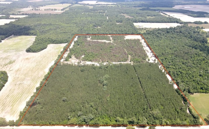 Pictures of Land property located at Autumn Rd, Malone, FL 32445 for sales - image #1