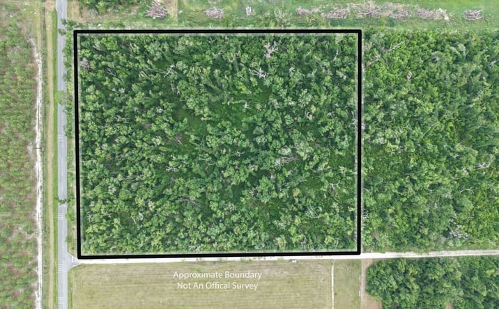 Pictures of Land property located at 123 NW County Road 251, Mayo, FL 32066 for sales - image #1