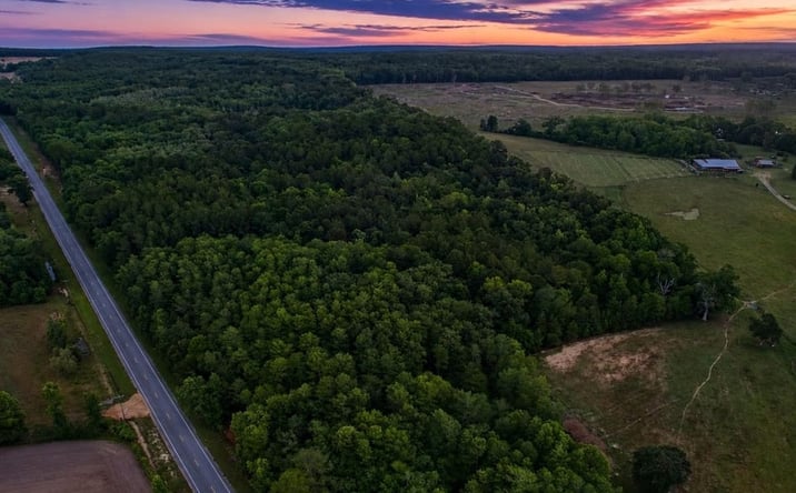 Pictures of Land property located at TBD HWY 179A, Westville, FL 32464 for sales - image #1