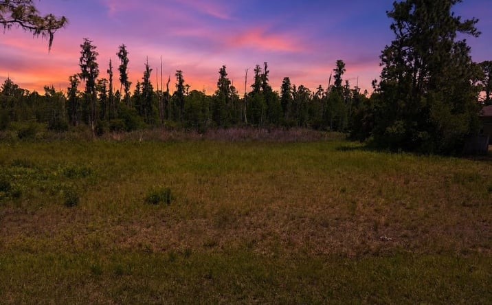 Pictures of Land property located at 26931 GREEN WILLOW RUN, Wesley Chapel, FL 33544 for sales - image #1