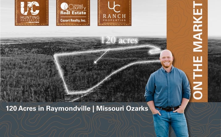 Pictures of Land property located at 000 Highway B, Raymondville, MO 65555 for sales - image #1