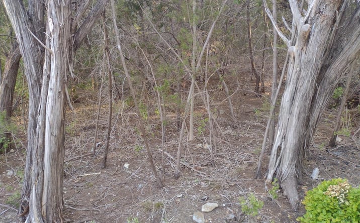 Pictures of Land property located at 1011 Comanche Cove Drive, Granbury, TX 76048 for sales - image #1
