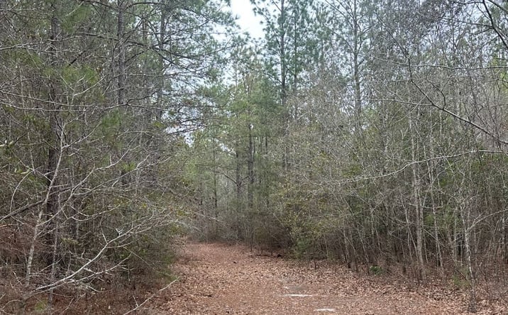 Pictures of Land property located at 160 Landing Road, Sylvania, GA 30467 for sales - image #1