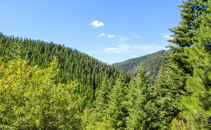 Pictures of Land property located at Tract 1 Pardee Flat Road, SUPERIOR, MT 59872 for sales - image #1