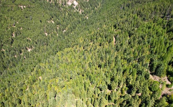 Pictures of Land property located at Tract 2 Pardee Flat Road, SUPERIOR, MT 59872 for sales - image #1